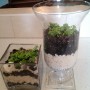 photo_4